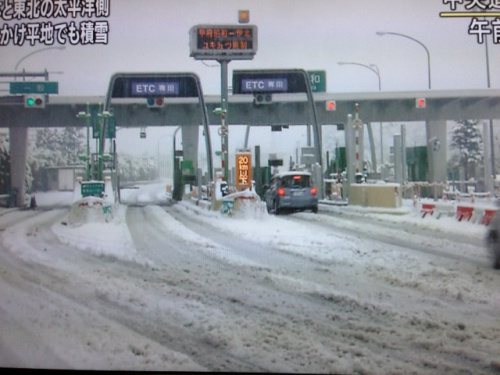 日本多地遭遇暴風(fēng)雪交通運輸受影響（圖）