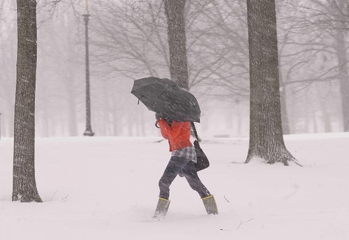 暴風(fēng)雪襲擊美國東海岸 積雪將達(dá)50厘米