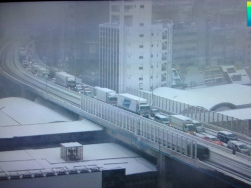 日本東京首都圈因暴風雪交通大亂列車停駛（圖）