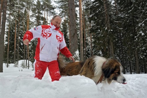 普京帶著寵物犬在雪地里散步。