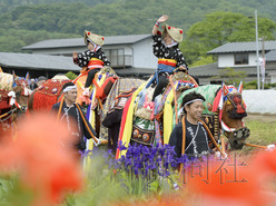 日本巖手縣舉行傳統(tǒng)活動(dòng)“叮鈴叮鈴趕馬會(huì)”（圖）