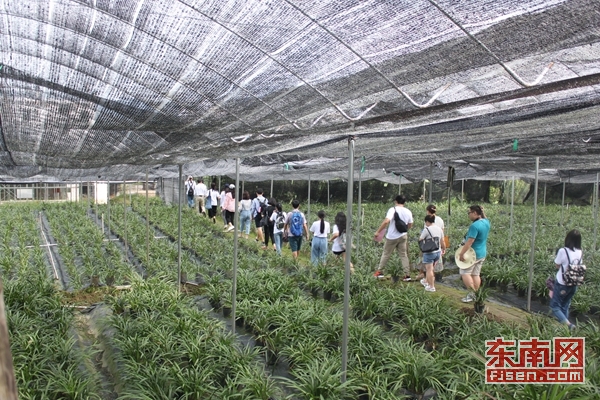 紅軍入閩第一村：樓上開(kāi)花樓下香