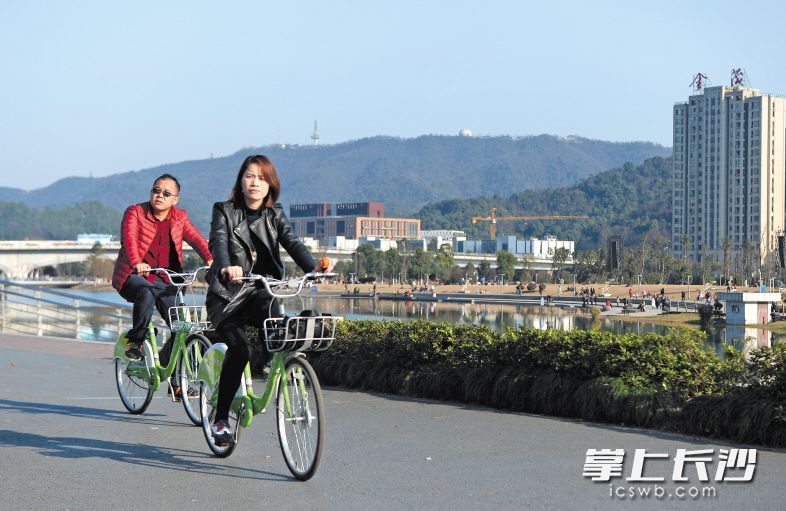 梅溪湖畔，市民們騎著共享單車賞景。長沙晚報記者 鄒麟 攝