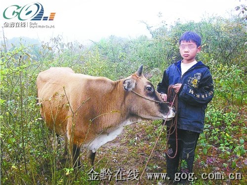 10歲男孩靠吃“百家飯”過日子睡村民家牛圈（圖）