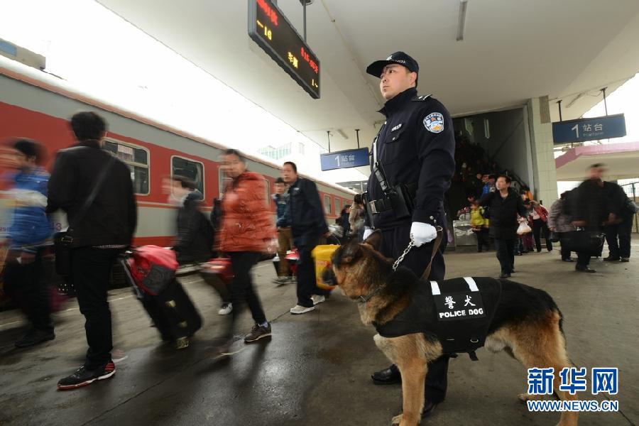 #（關(guān)注春運）（1）警犬上崗保春運